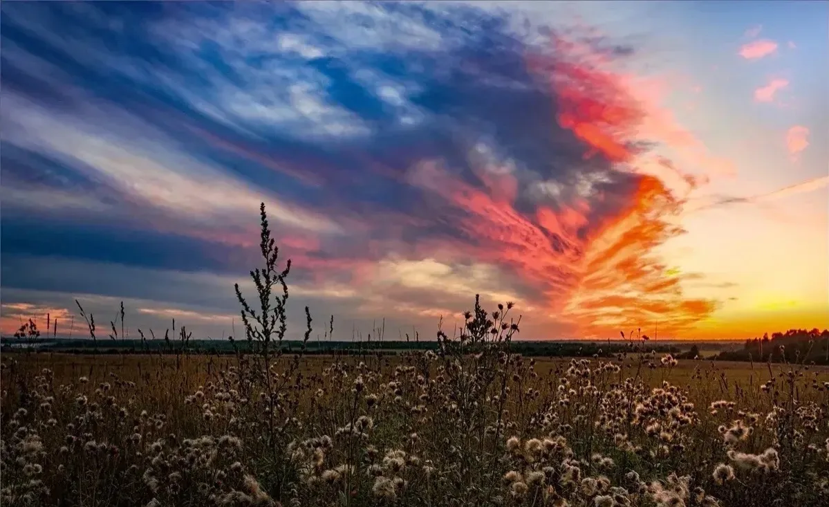Хорошего вечера. 🌅