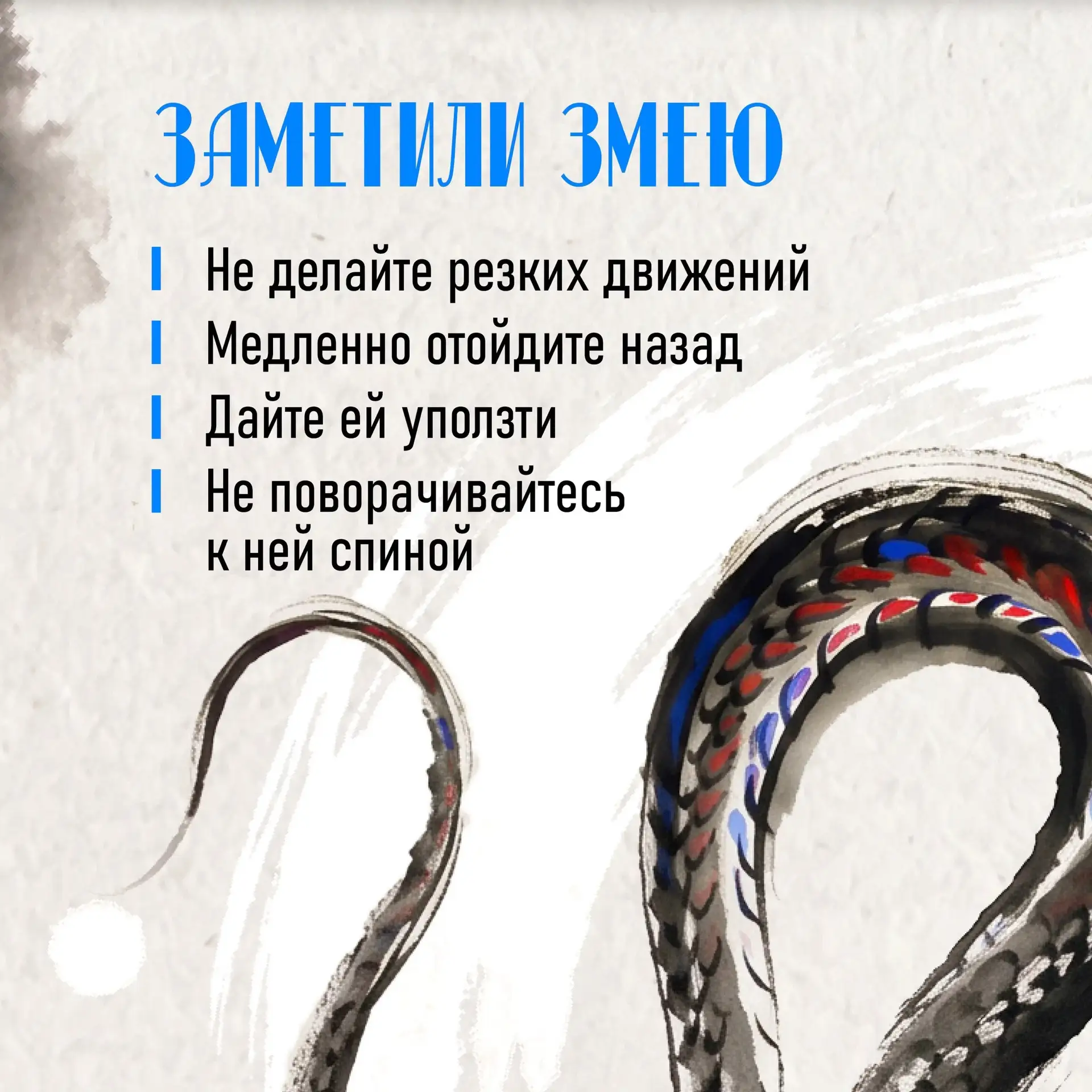 Как вести себя при встрече со змеёй

🐍 Летом в Приморье змеи активны. Их можно встретить на даче, у