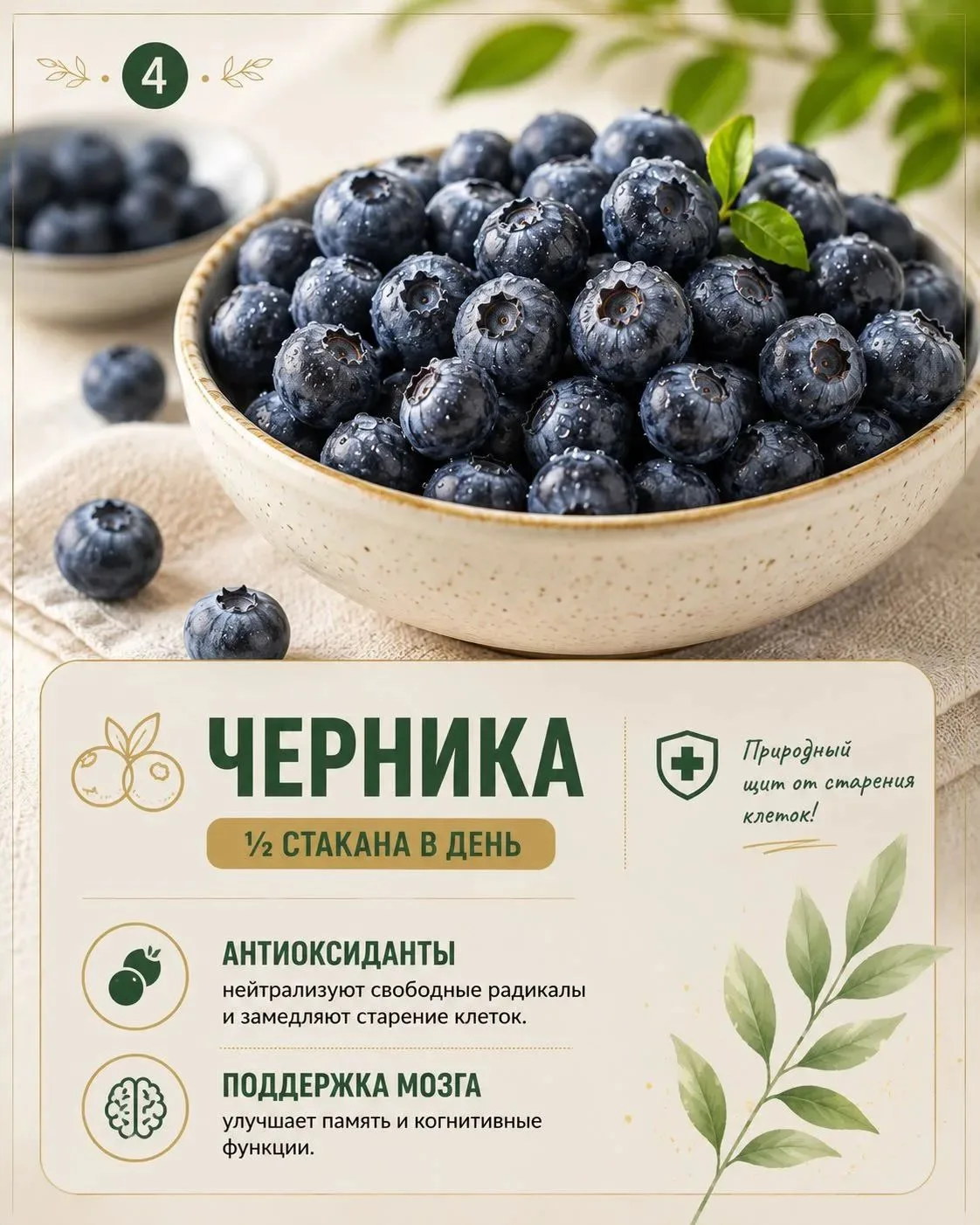Продукты, замедляющие старение ✅