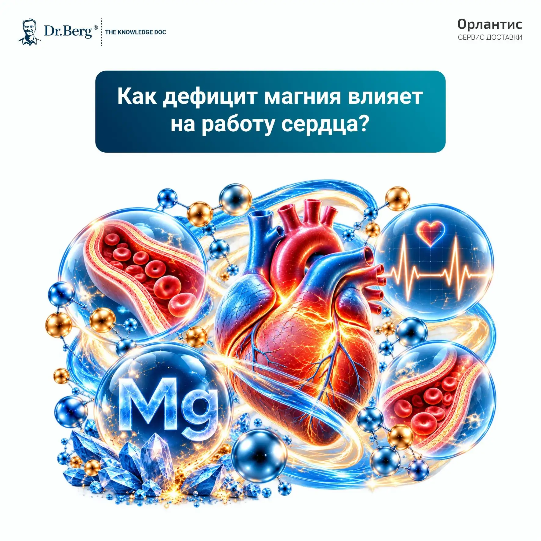 💔 Как дефицит магния влияет на работу сердца?