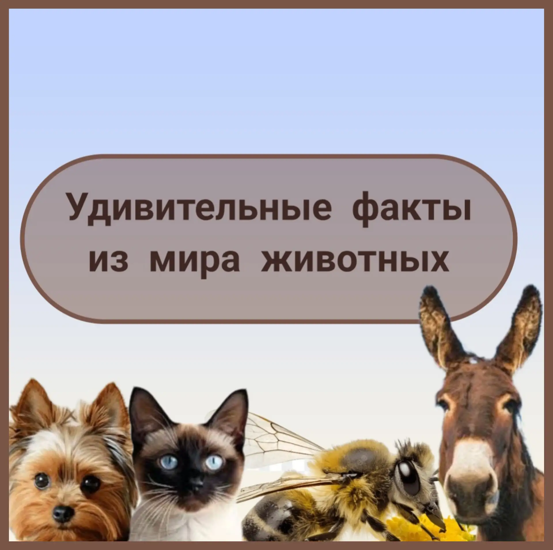 🚩Это интересно!