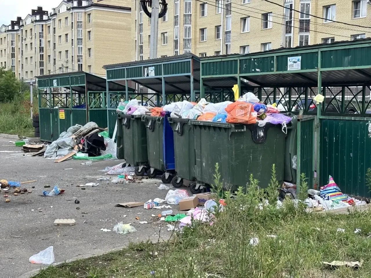 Таких мусорок Ярославль не видел никогда. Мельничная 37 😭

Крысы как бегали, так и бегают..