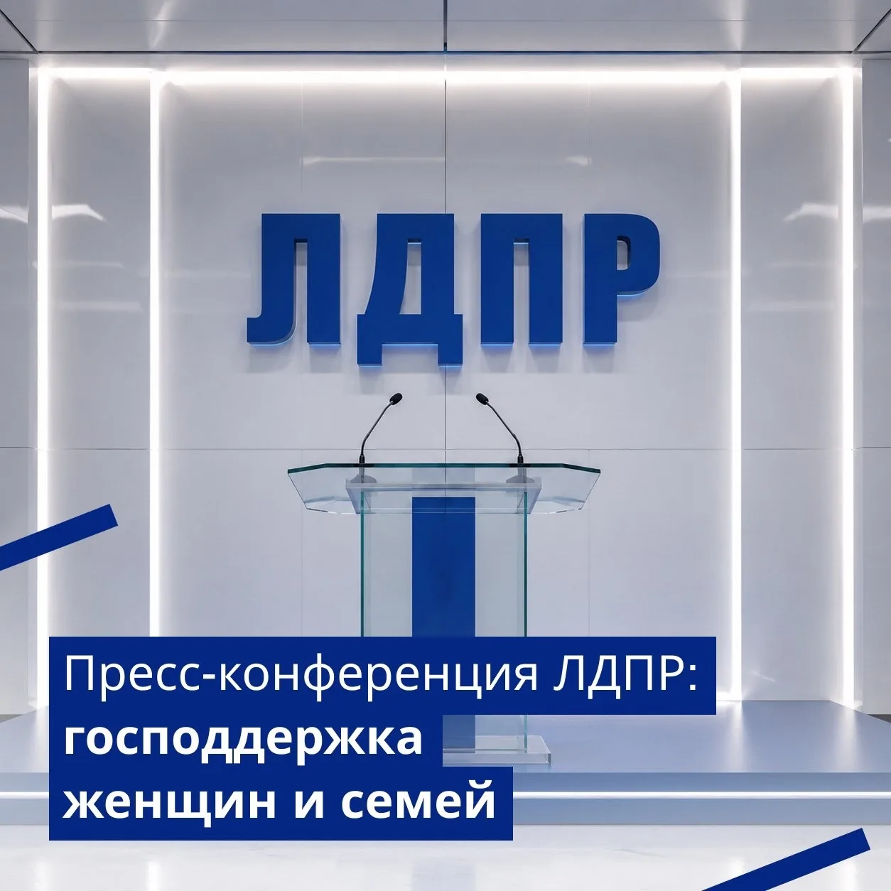 ЛДПР расскажет о мерах поддержки женщин и семей