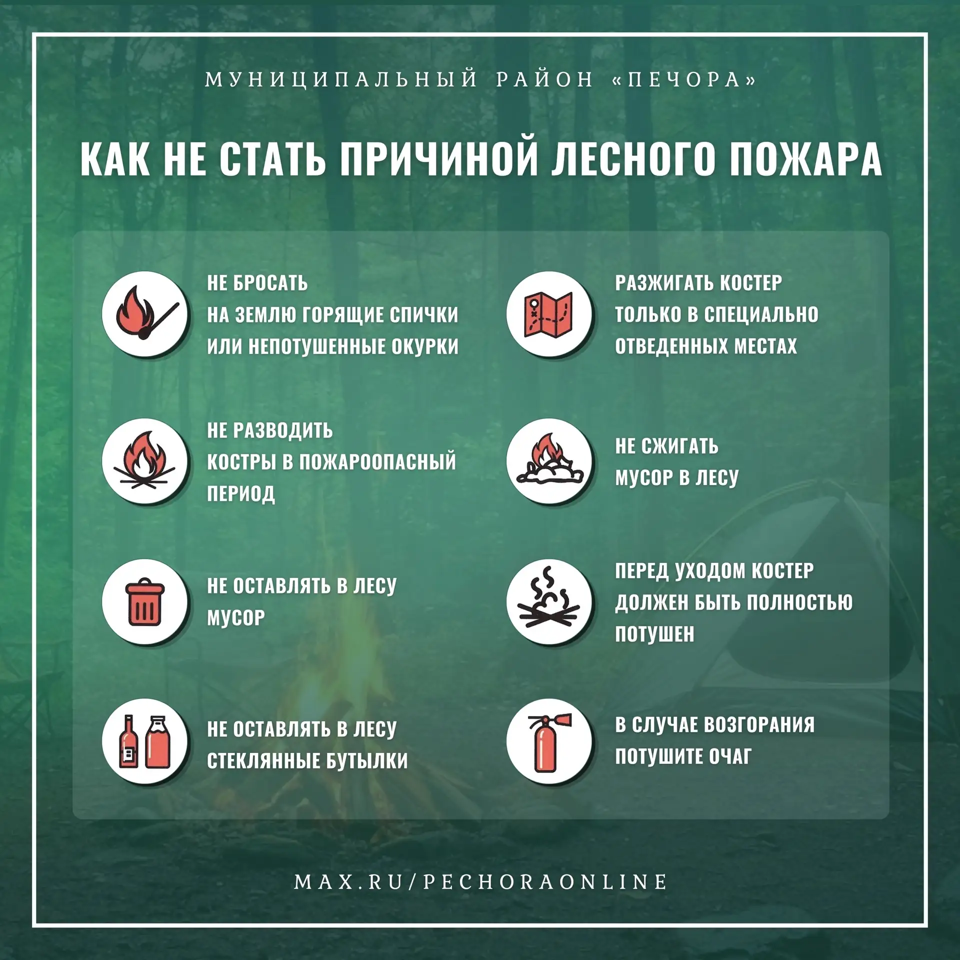 🔥 Брошенный окурок в лесу, непотушенный костёр, подожжённая трава — всё это приводит к печальным по