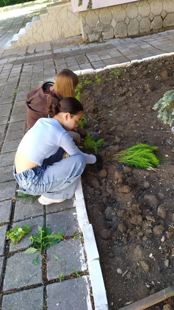 Лето в стиле «агро»! 🌾🚜
