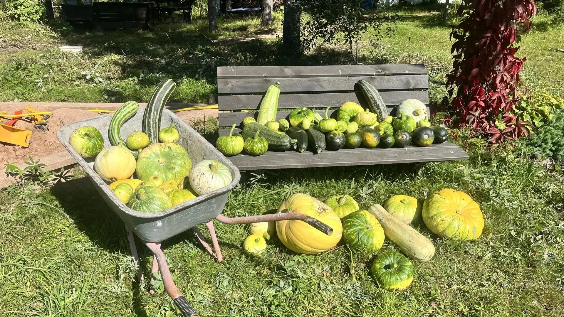 Приятные хлопоты в родовом поместье. Но главное, что не существует иного способа сохран...