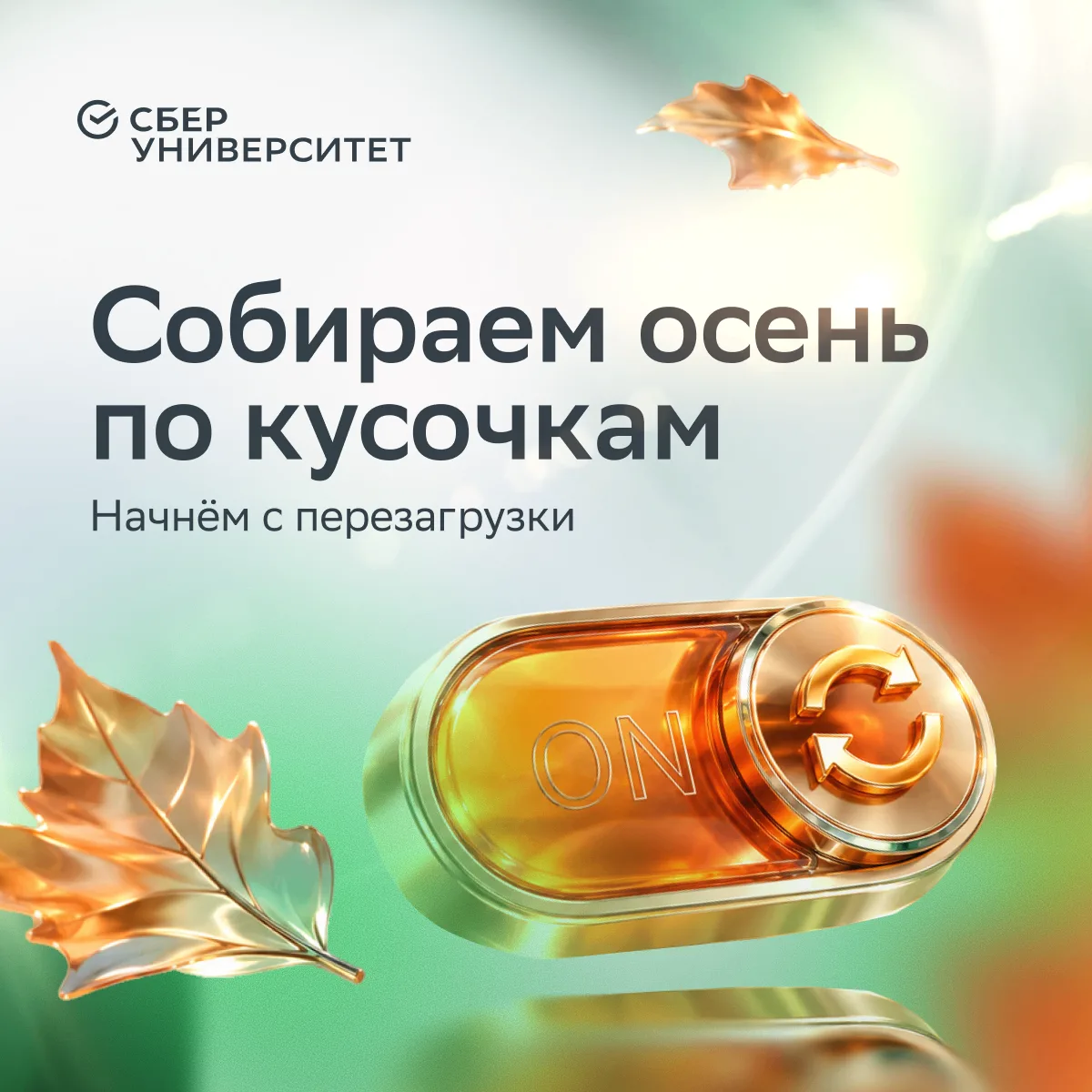 Соберите свою идеальную осень в кампусе СберУниверситета