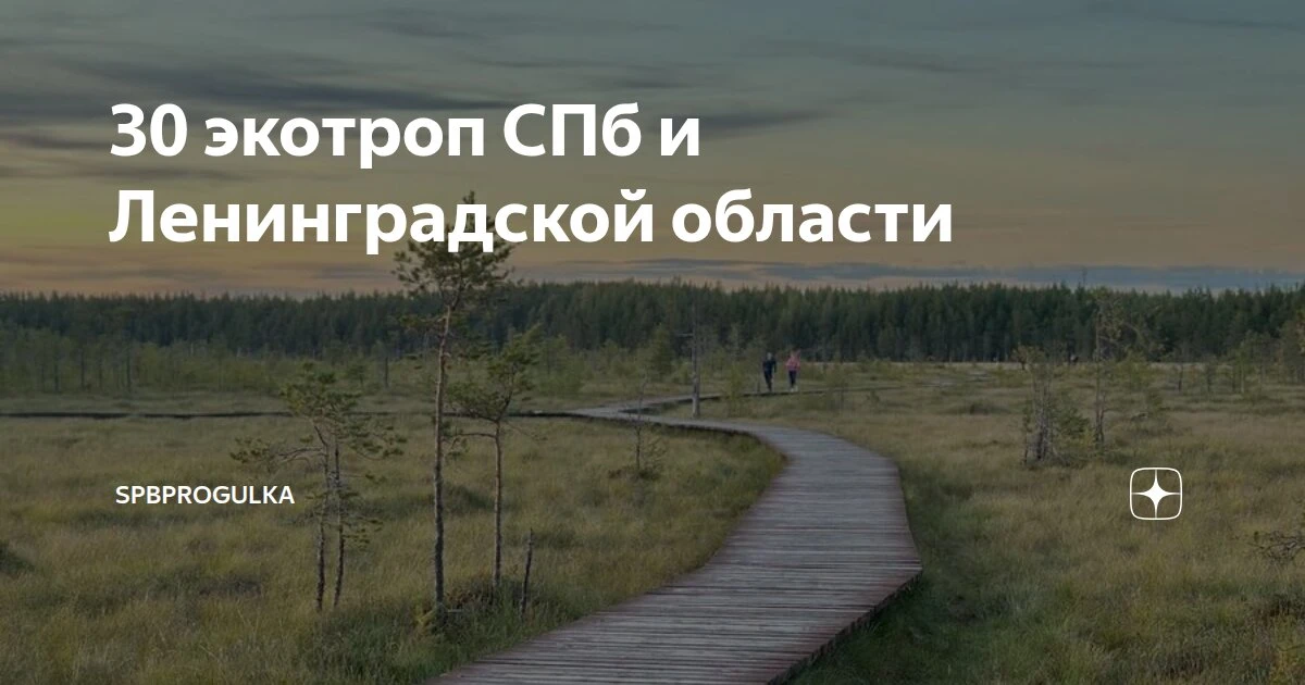 Мы, вдохновившись акцией «Твой ход — в поход!», хотим дать вам простой, но очень полезный совет: гул