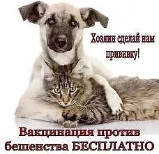 ❗Внимание! 🔹Бесплатная вакцинация против бешенства домашних животных (собак и кошек) будет проводить