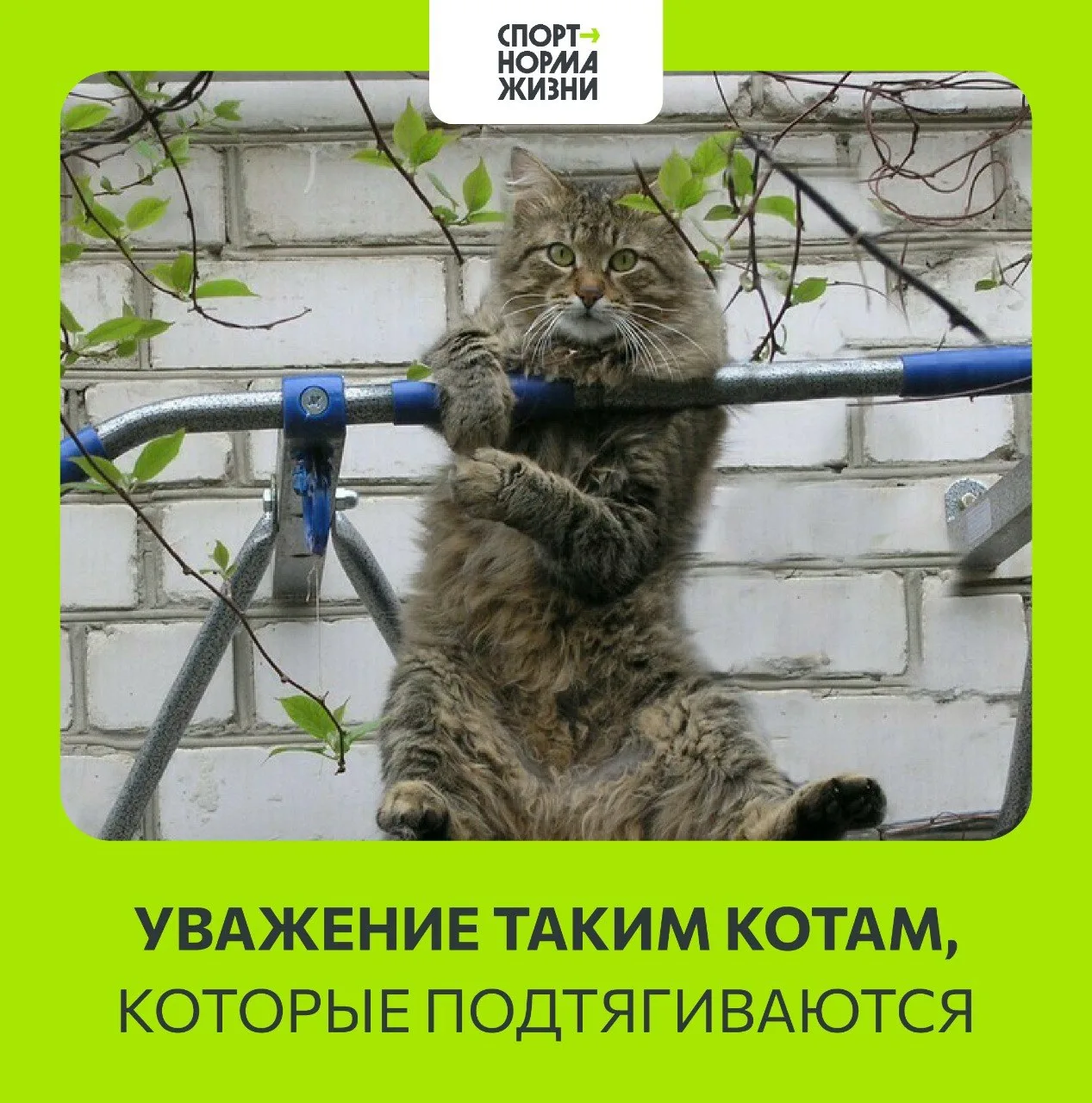🔥 Неделя на финише. Силы почти на нуле, но впереди выходные, когда можно спокойно подз...