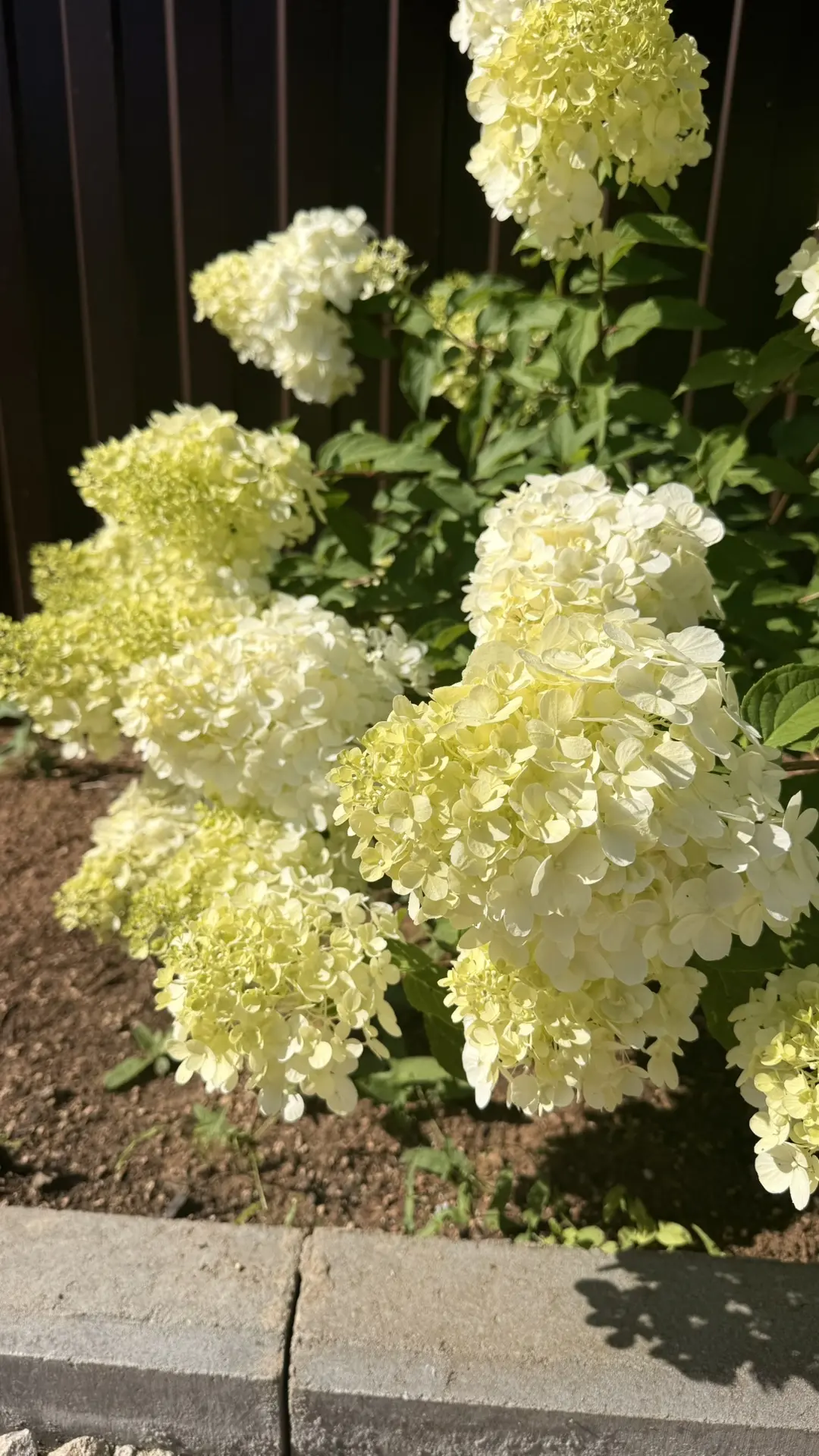 Август 🌺