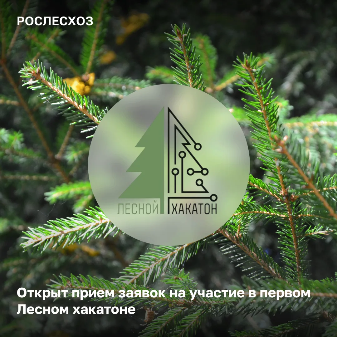 🌲 Стартовал прием заявок на участие в Лесном хакатоне - первом конкурсе по цифровизаци...