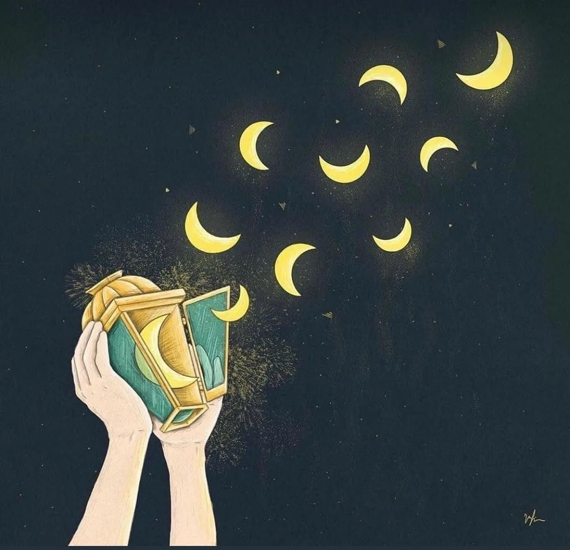 Доброй ночи 🌙