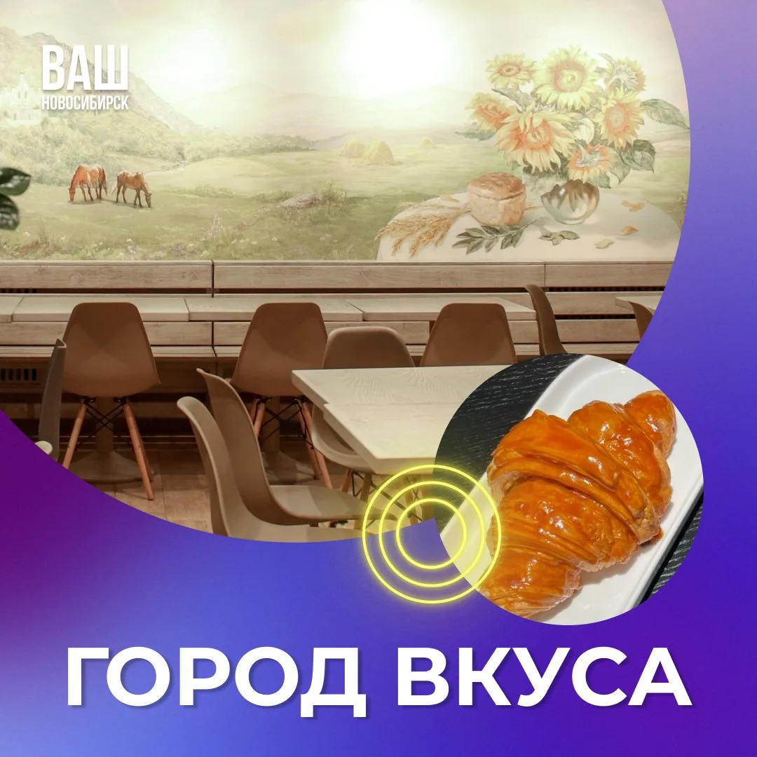 #ГородВкуса: столовые, где вкусно, недорого и красиво 🍴
