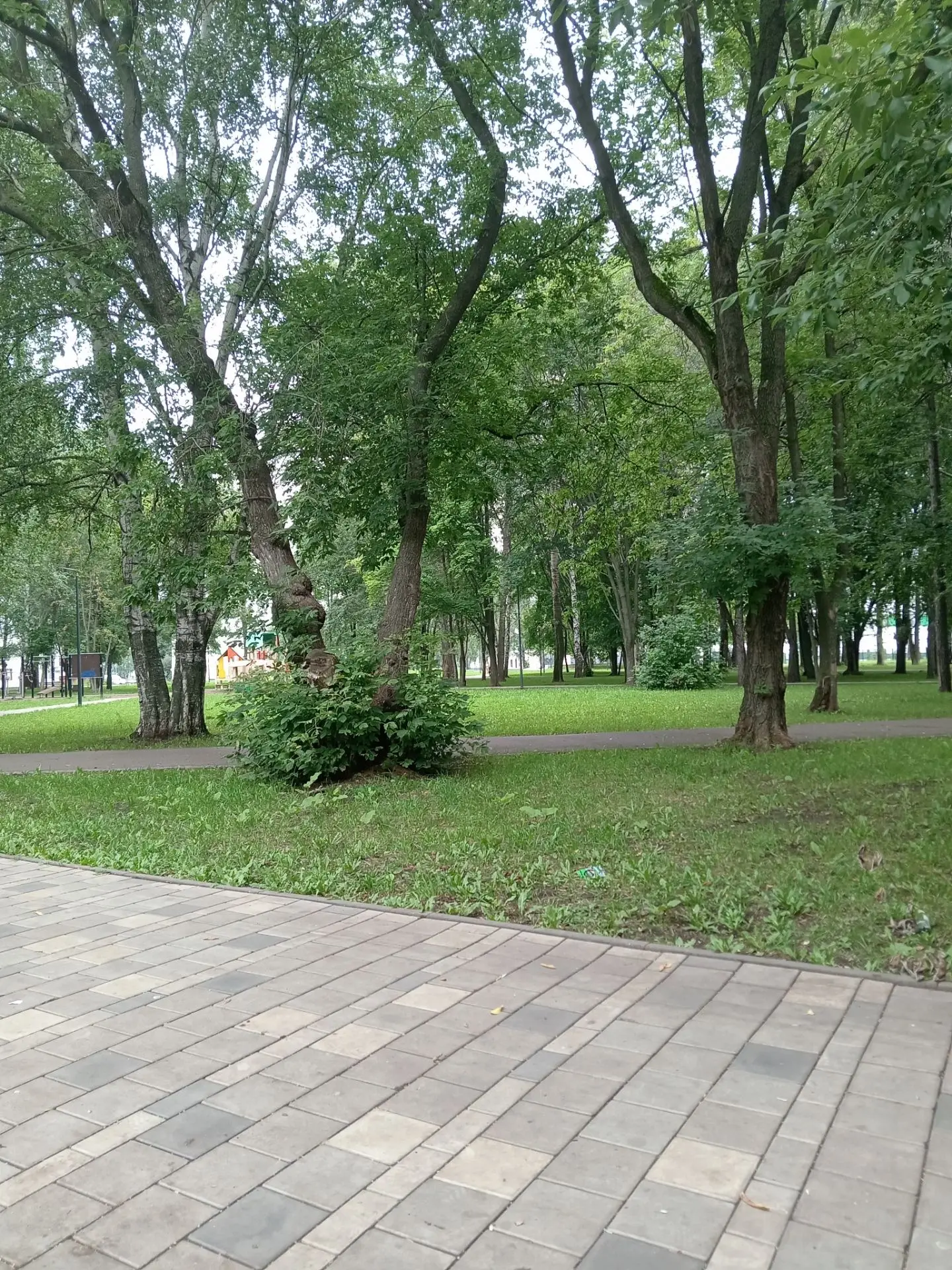 Моя главная цель сейчас:накопить на машину и сделать ремонт в доме 💞