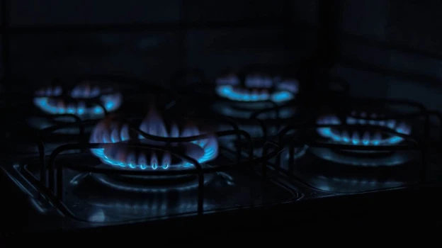🛠 ФАС взяла под контроль новые тарифы на газ в Воронежской области