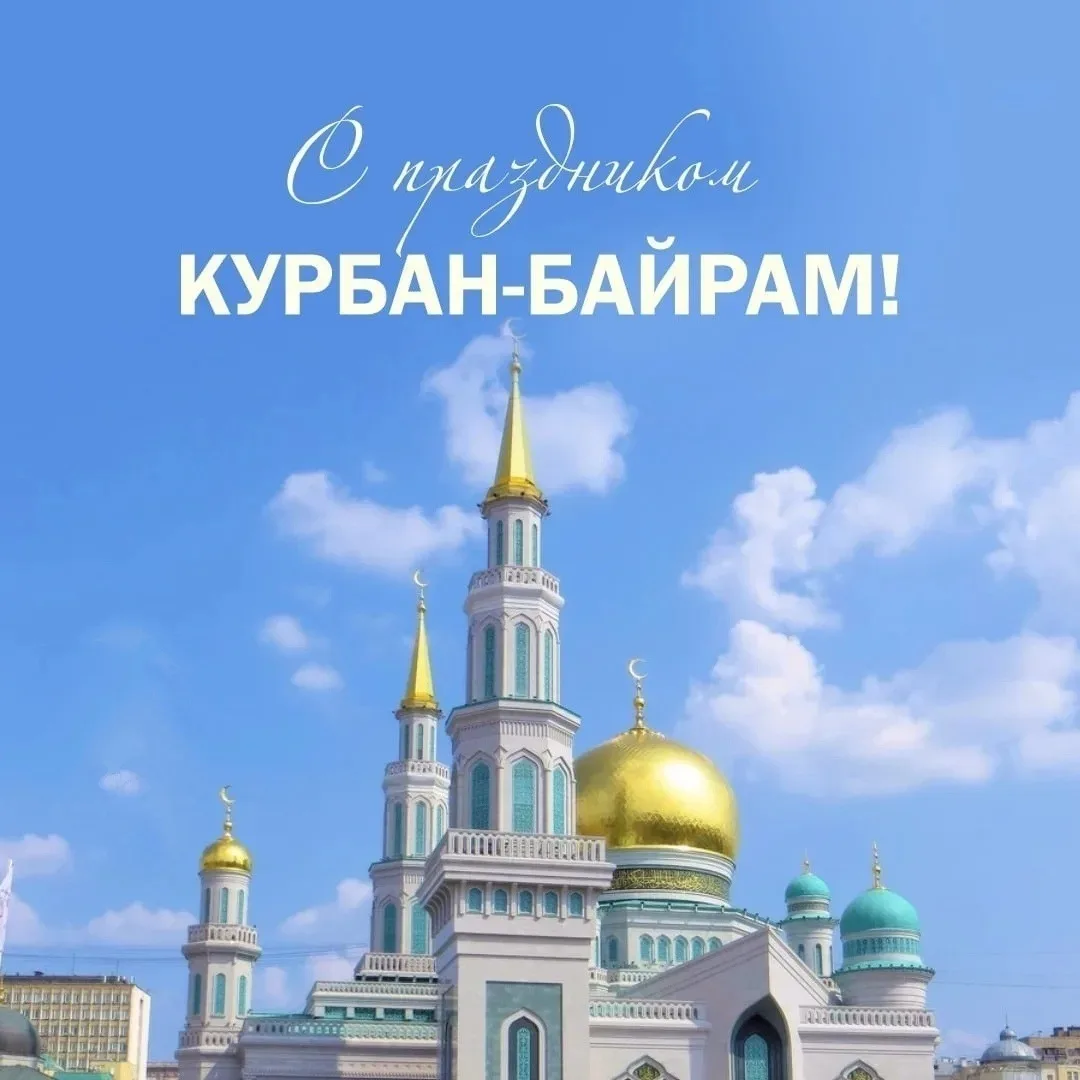 Уважаемые жители Гафурийского района, коллеги и владельцы животных! 🌙✨
