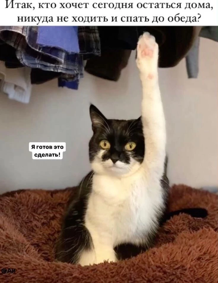 Мы?