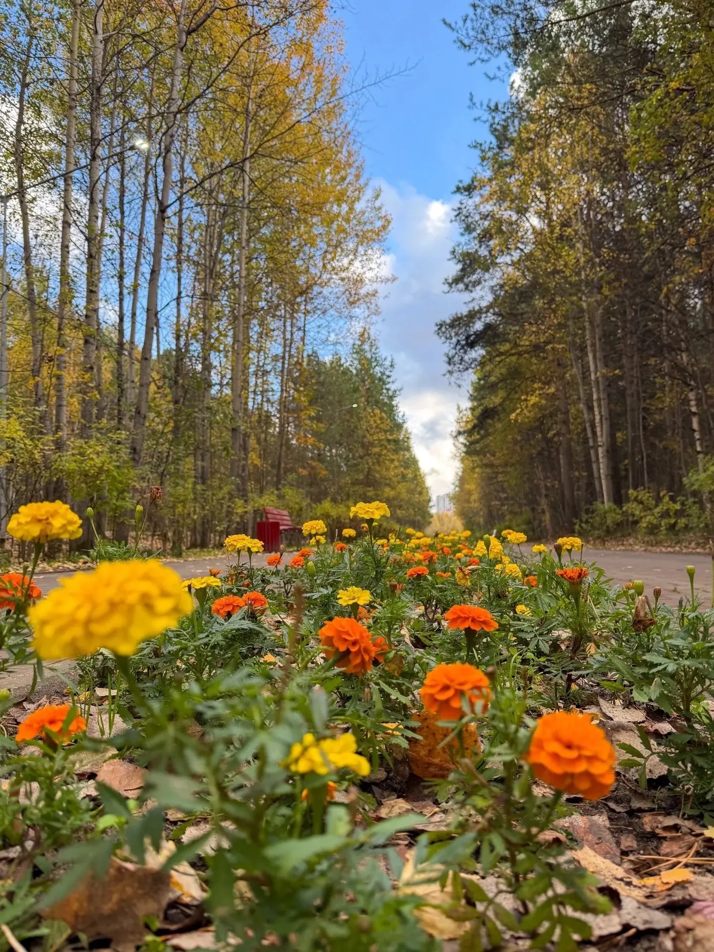 Доброе утро ☀️