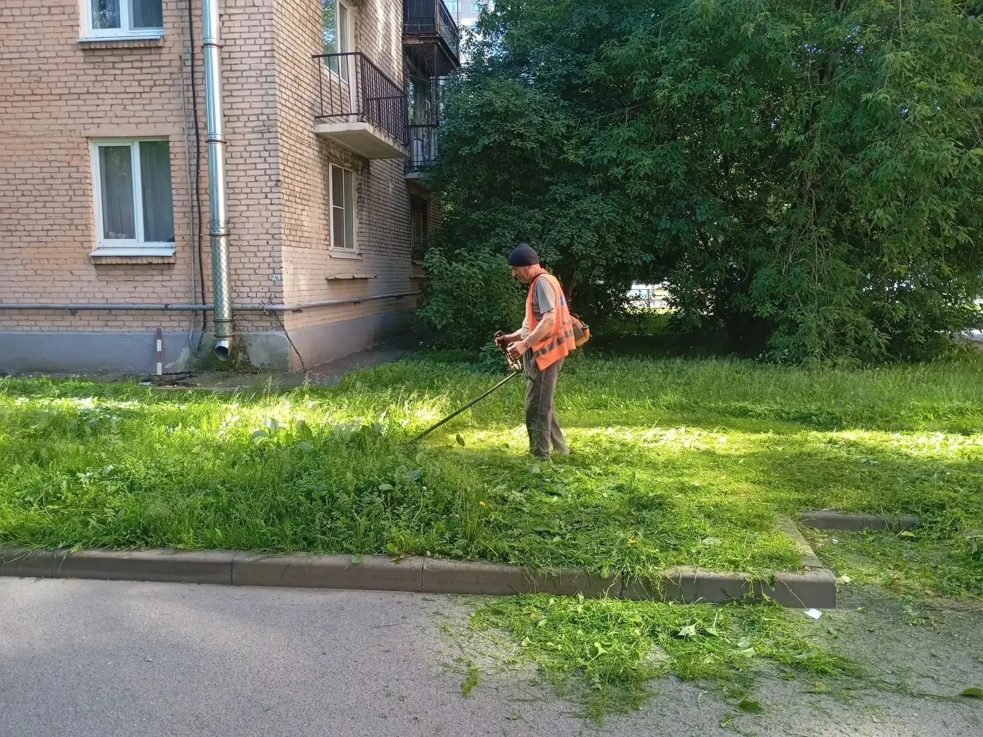 🌱Покос придомового газона по адресу: пр.Непокорённых, дом 50. 
 
☎Аварийно-диспетчерская служба : +