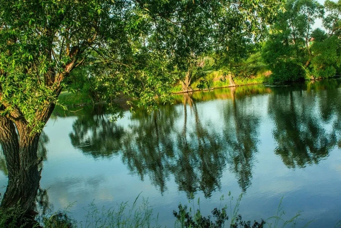 На прогулке. 🌳