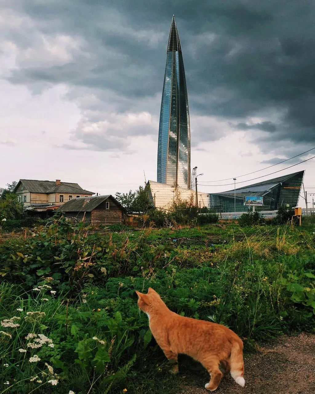 Город контрастов🐈