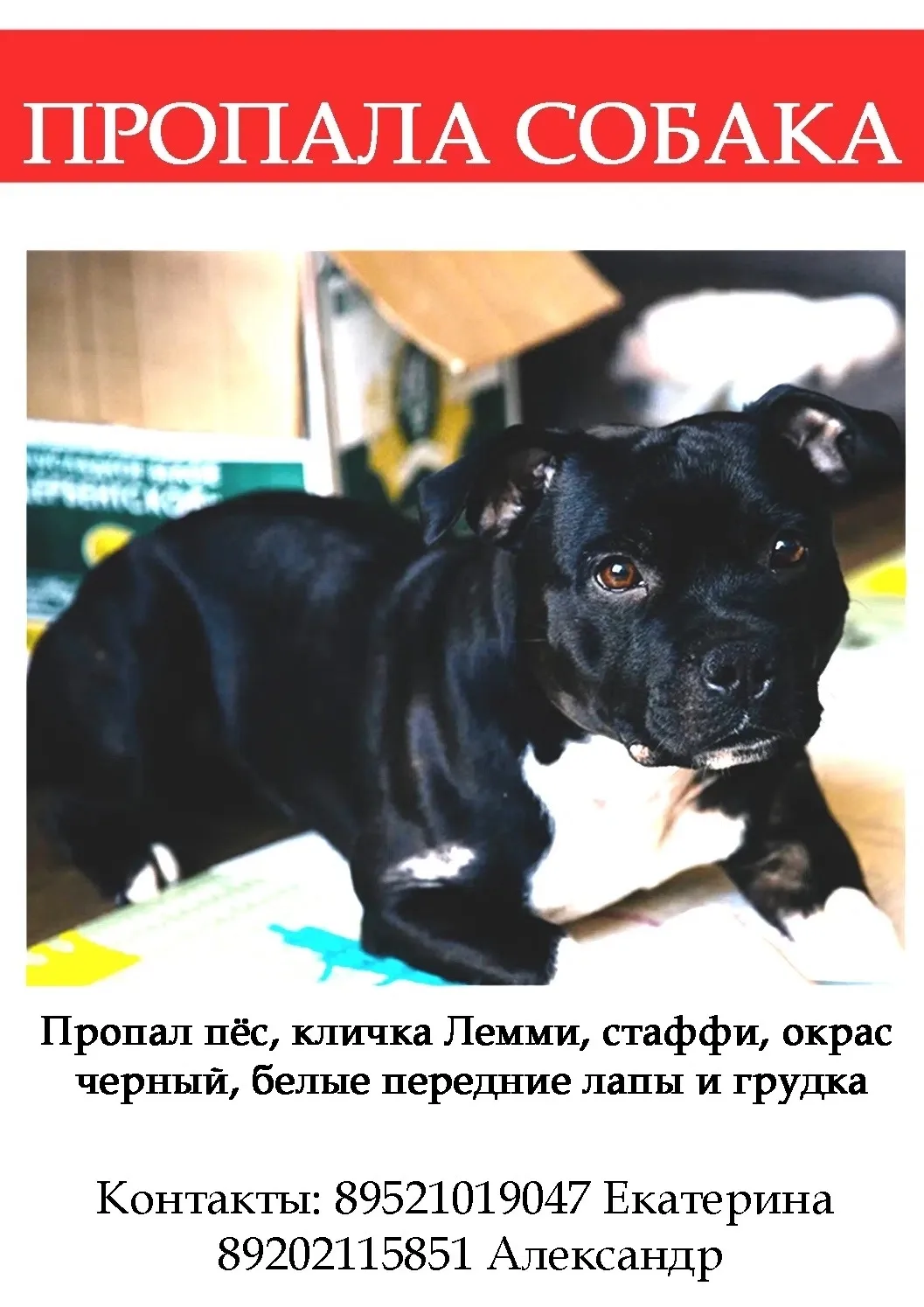 видели на хуторе точильное

________________________
👉ЗАКАЗАТЬ РЕКЛАМУ👈
👩‍💻Администратор канала