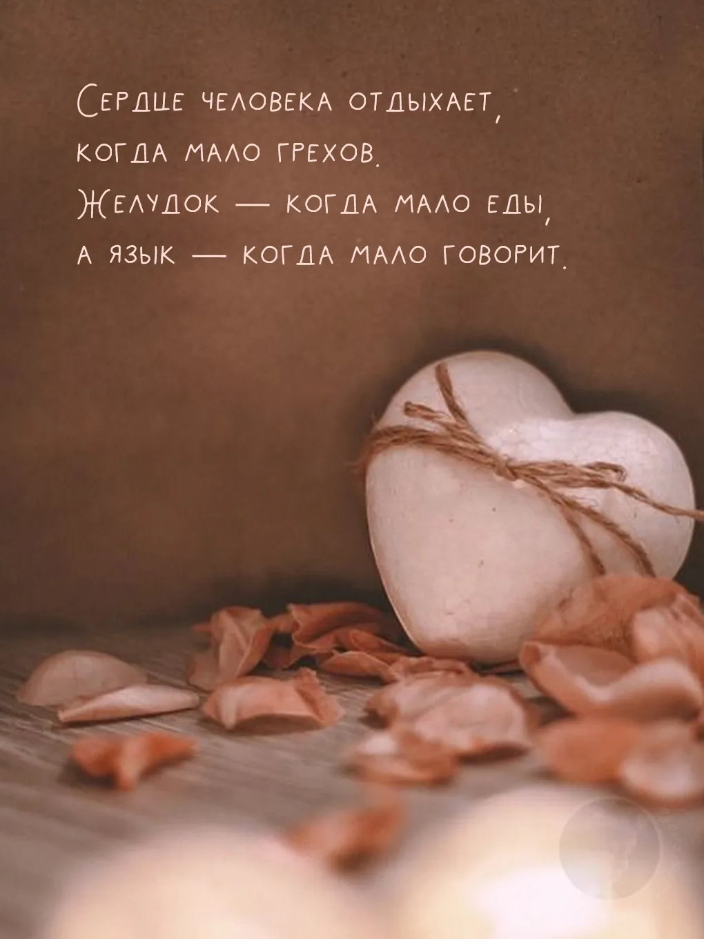 Твой мир, твои слова