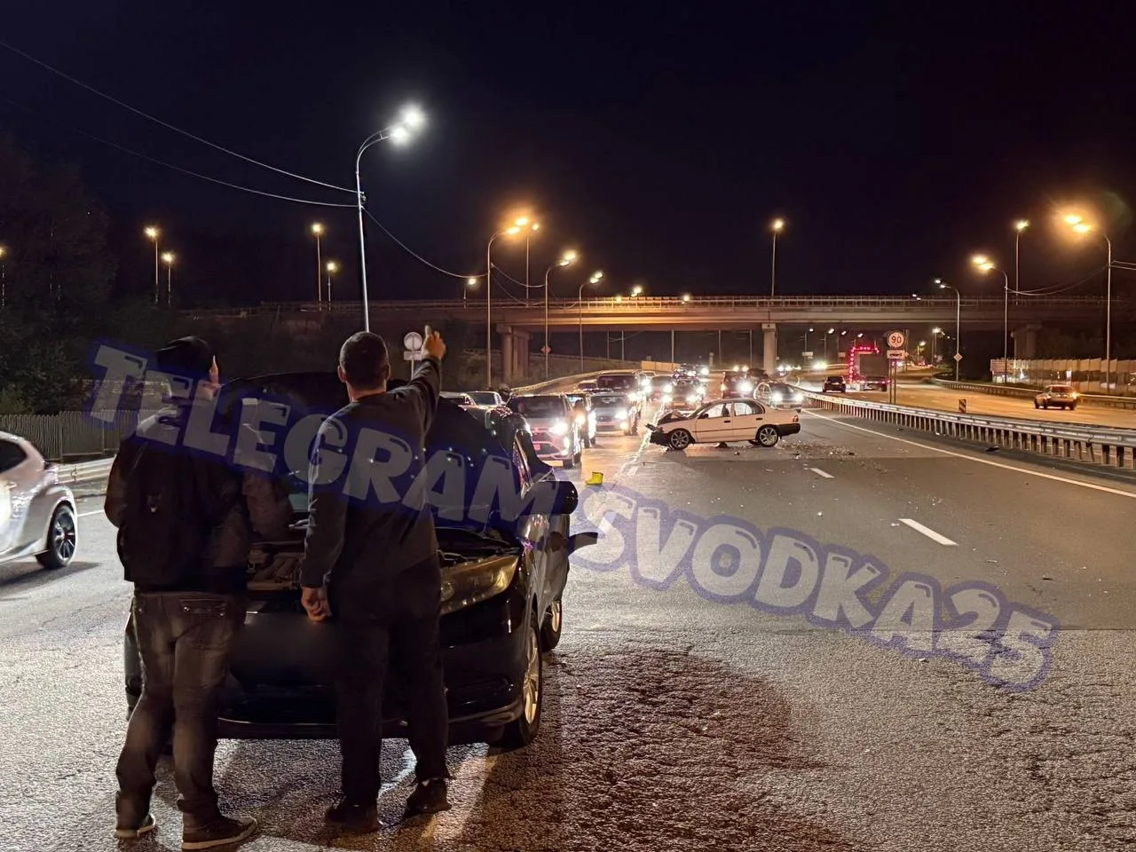 Во Владивостоке на Маковского произошло жесткое тройное ДТП, в котором погибла собака — водитель Кор