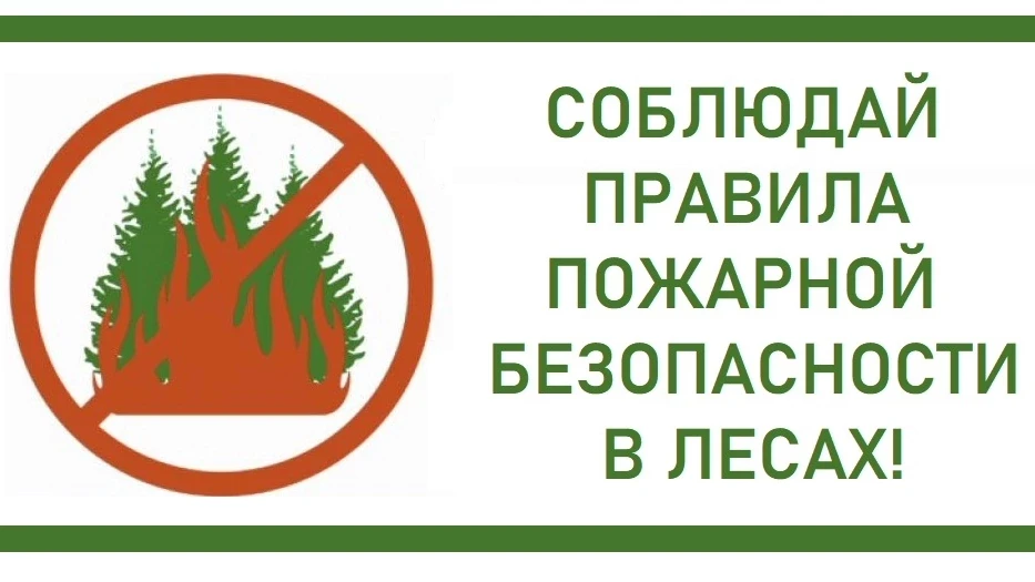 ❗❗ПРАВИЛА ПОЖАРНОЙ БЕЗОПАСНОСТИ В ЛЕСАХ🌲🌲🌲