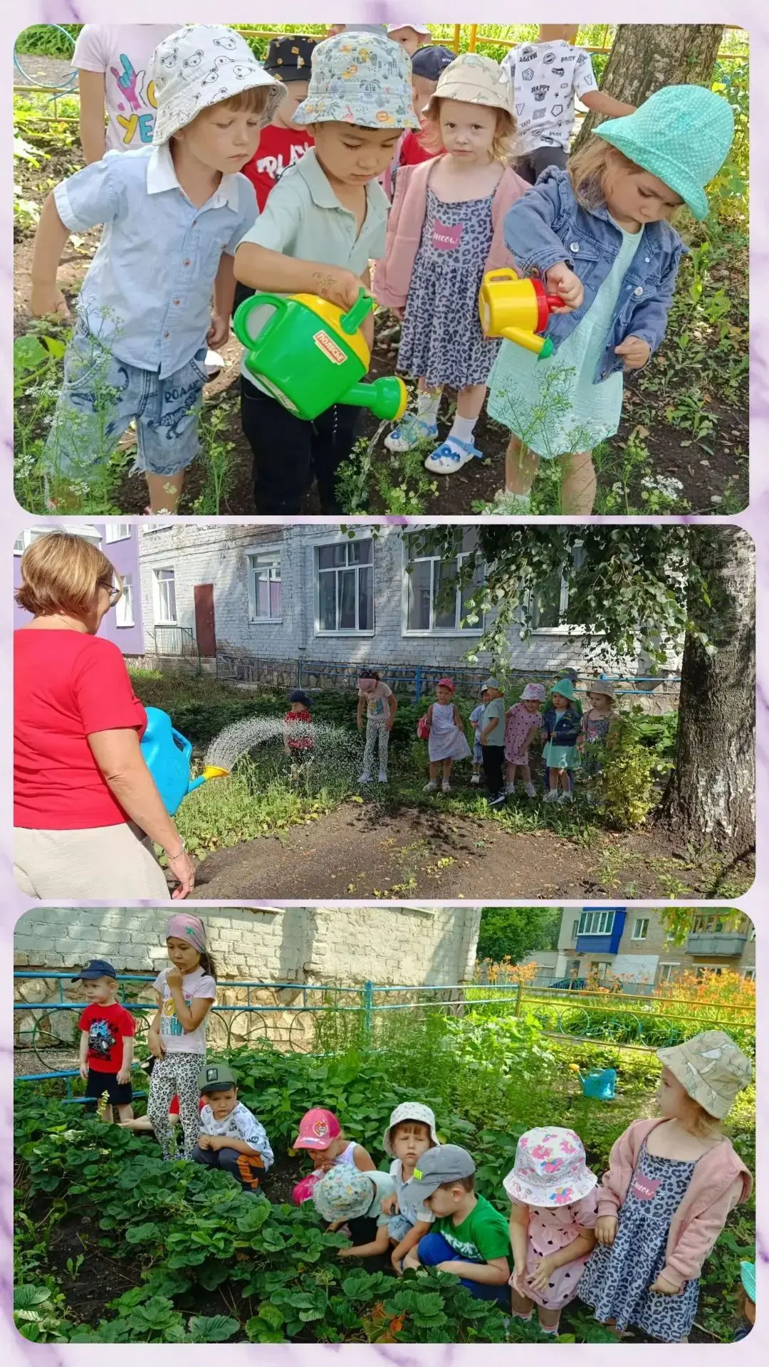 🌱«Наш любимый огород всегда требует забот!
🏡 В нашем детском саду, как и во многих других, есть ог