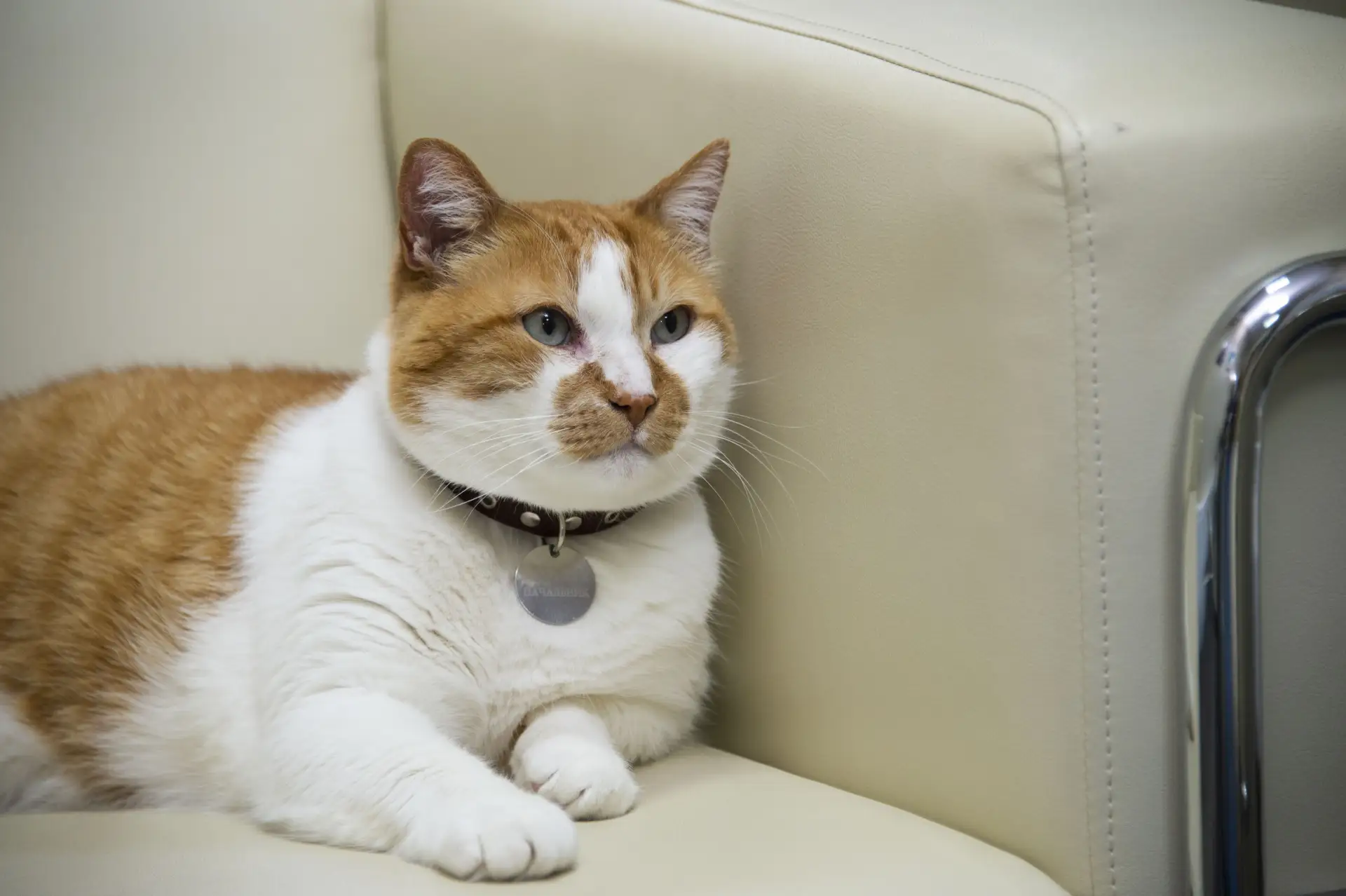 😼Решил выходить из отпуска постепенно.