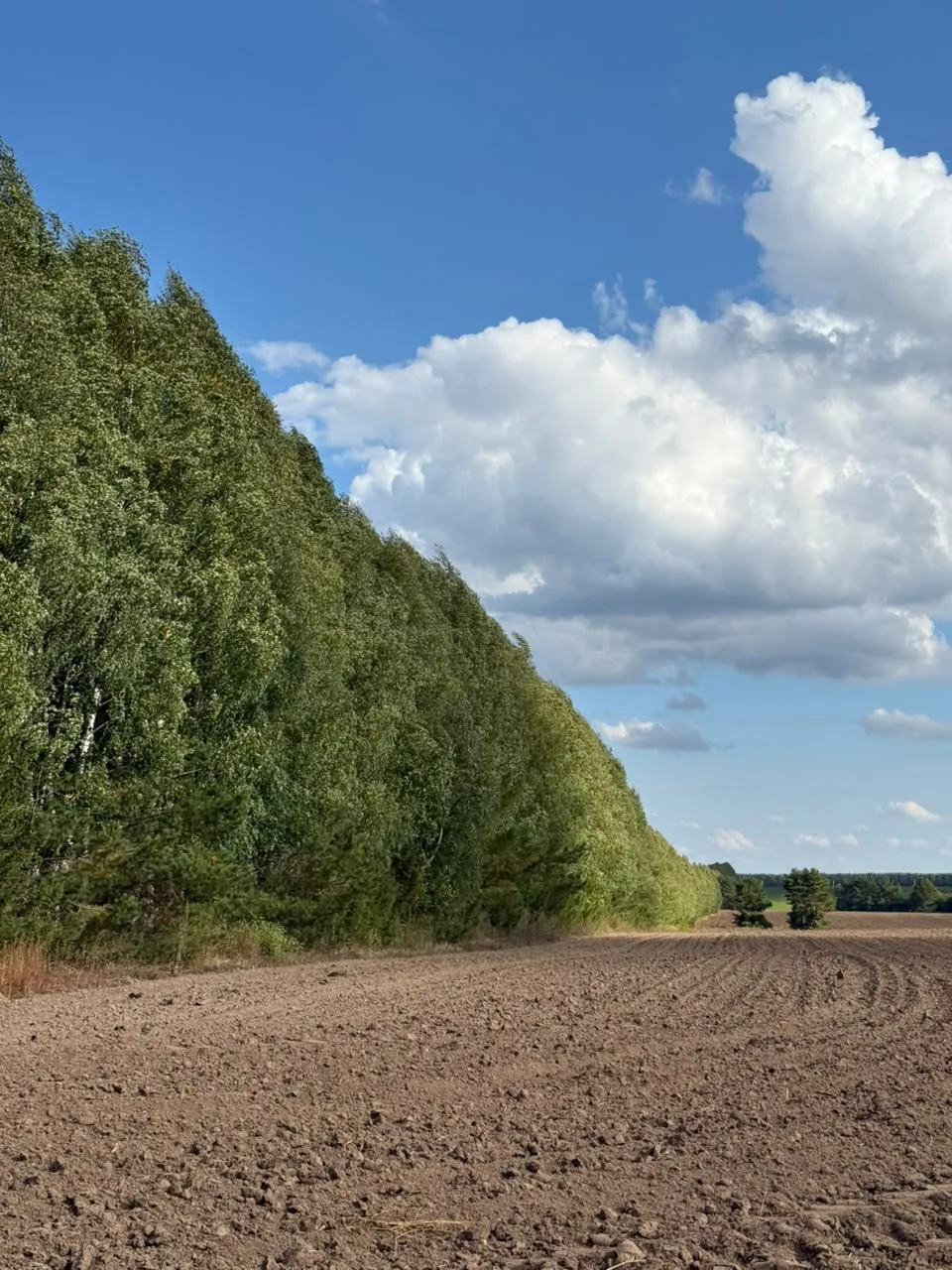 Хәерле көн)