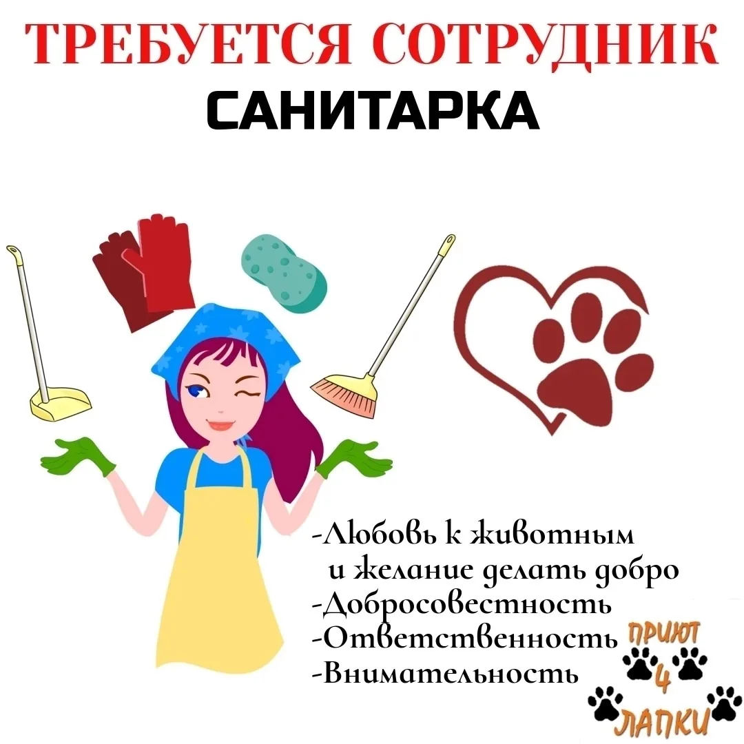 В команду Донецкого приюта для бездомных🐕 животных 🐾«4 ЛАПКИ»🐾, требуются сотрудники: