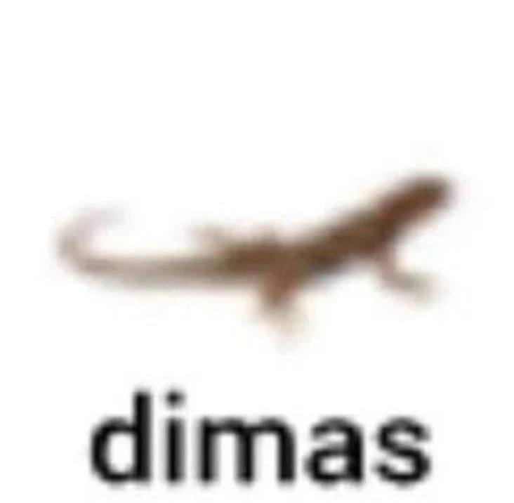 кидай димасу