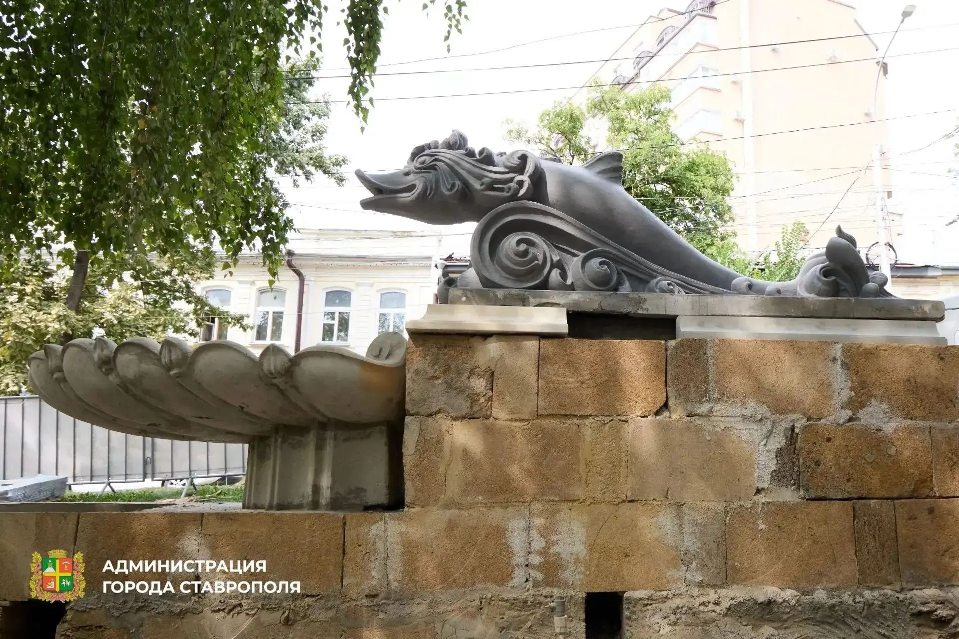 «Дельфины» возвращаются на своё место в Ставрополе