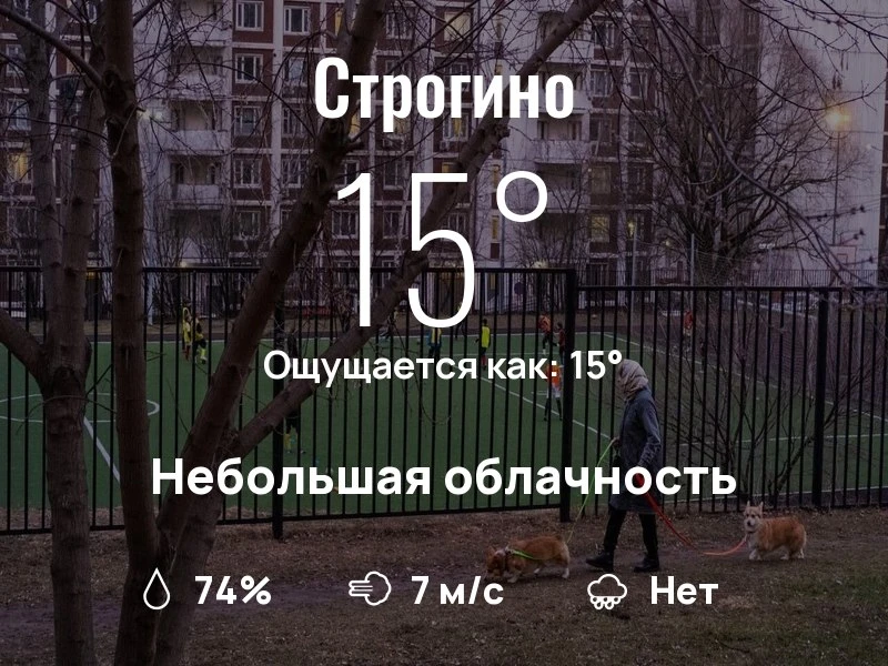Что с погодой в Строгино?