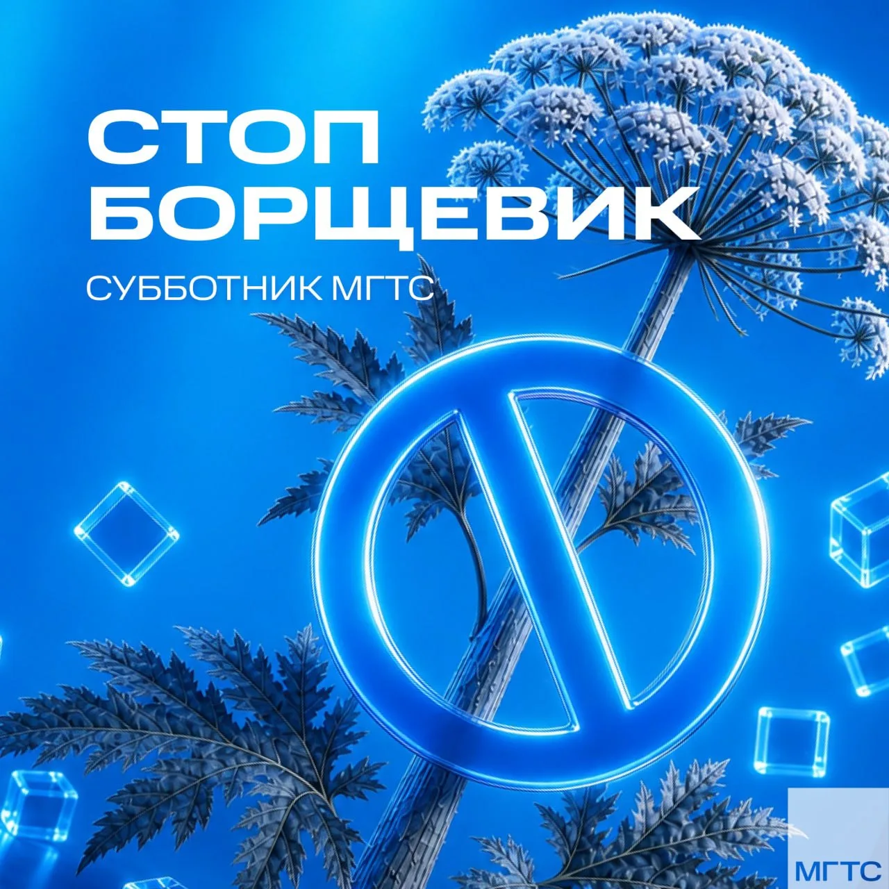 🌿 СТОП БОРЩЕВИК: проведём последнюю субботу лета с пользой!