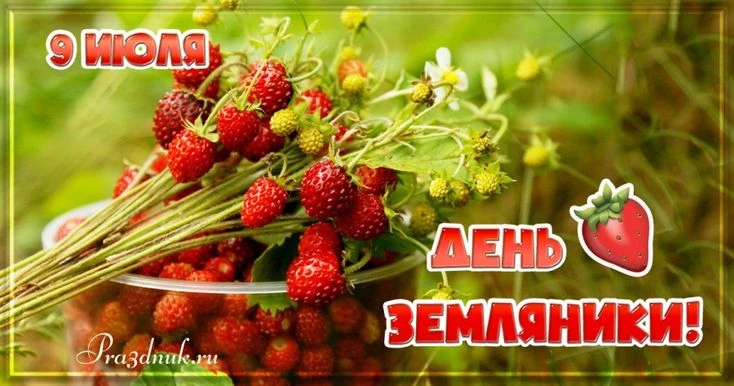 9 июля отмечается праздник землянички🍓.
День земляники — это отличная возможность познакомить детей