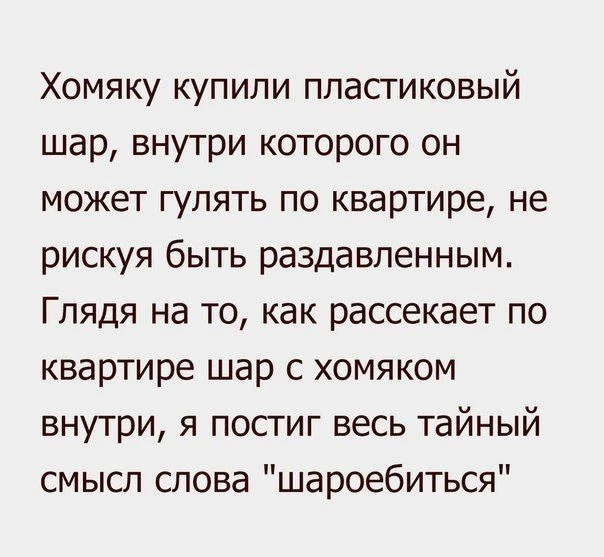🤣🤣🤣

Я была НАВЕСЕЛЕ 🦋
👉 Не забудь подписаться