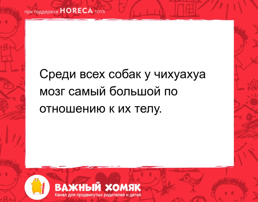 #интересныефакты #детииродители #семья #наука #длядетей

Подписаться на канал «Важный хомяк».