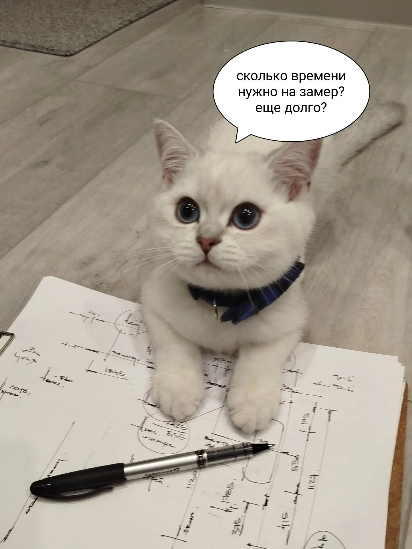 Очень часто, на замерах и установках, нас встречают самые требовательные и внимательные...
