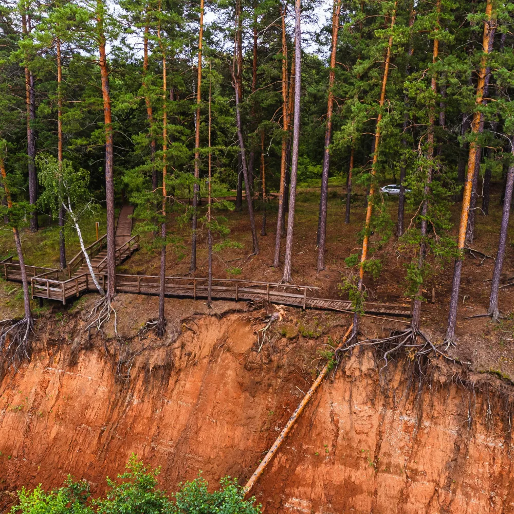 🌲 Сегодня национальный парк «Бузулукский бор» отмечает день рождения — парку исполняет...