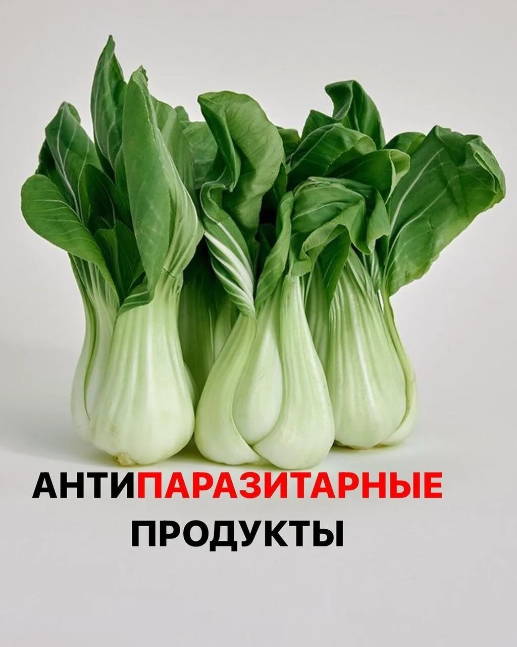 🍄 ПОРОШОК ИЗ СУШЕНЫХ ЛИСИЧЕК КАК ПРИРОДНОЕ АНТИПАРАЗИТАРНОЕ СРЕДСТВО 🌿