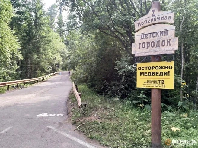 Глава думского комитета по туризму предложил устанавливать медведезащитные… — публикация канала ««Фонтанка.ру»»