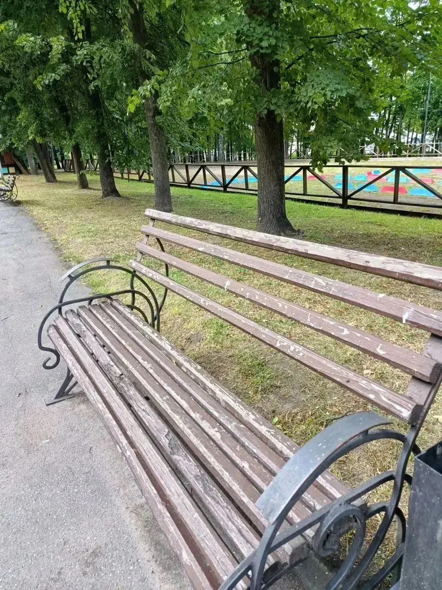 НИМЕ: Осталось всего несколько дней, чтобы успеть проголосовать! 💚