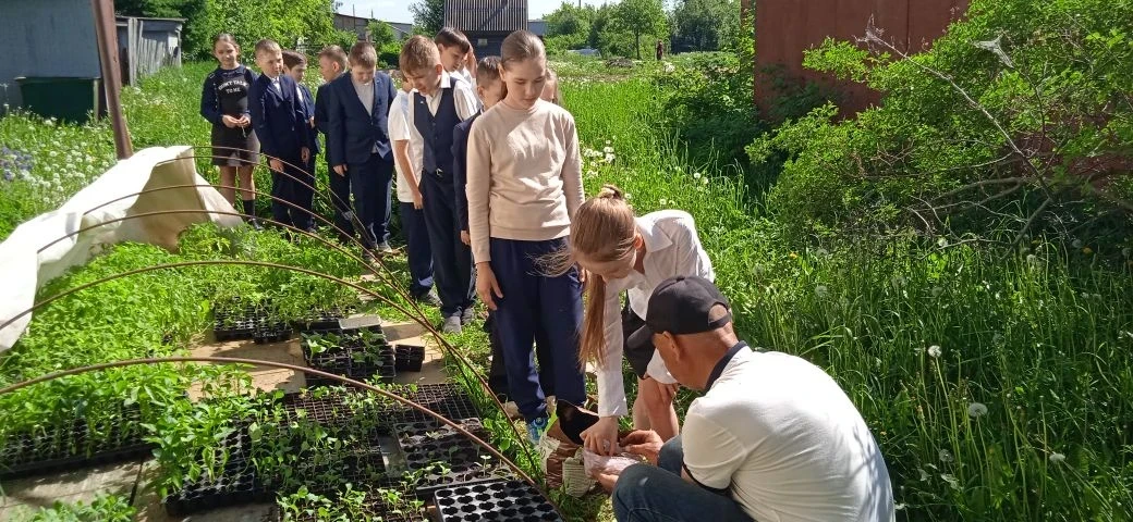 ✨🌱Один день на селе. Будущие за овощеводами🍑🥕🌽🍆🥔