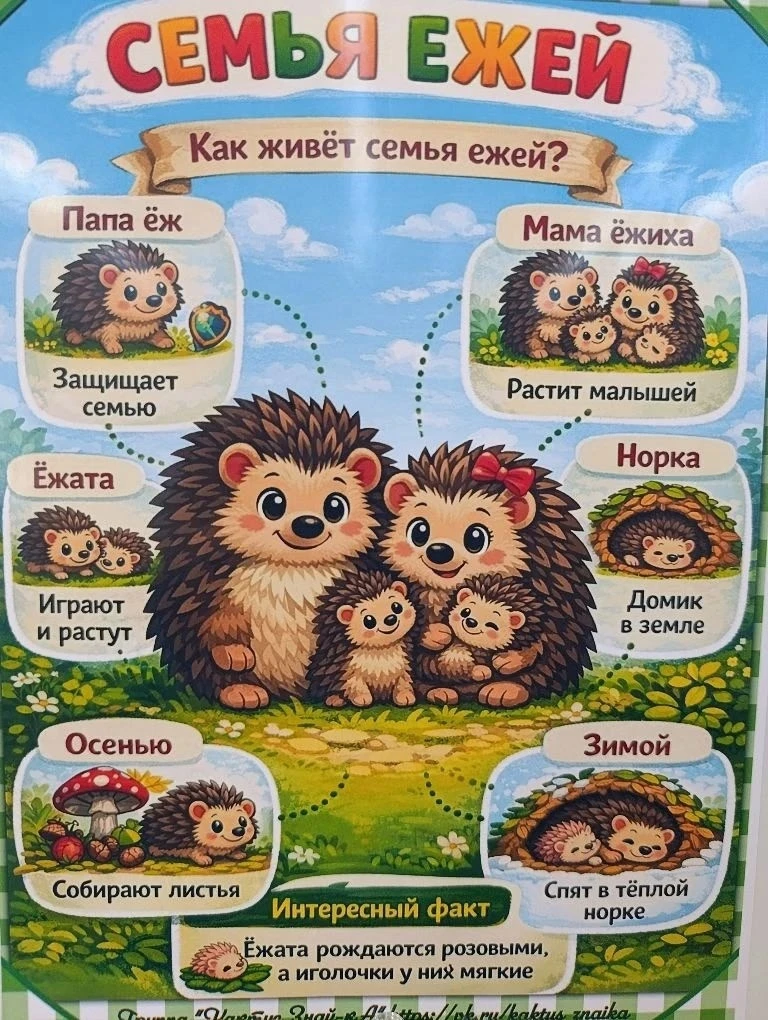 А вы знали,что 2 февраля отмечается необычный праздник - Международный день Ежа? 🦔   Вот и наши ребя