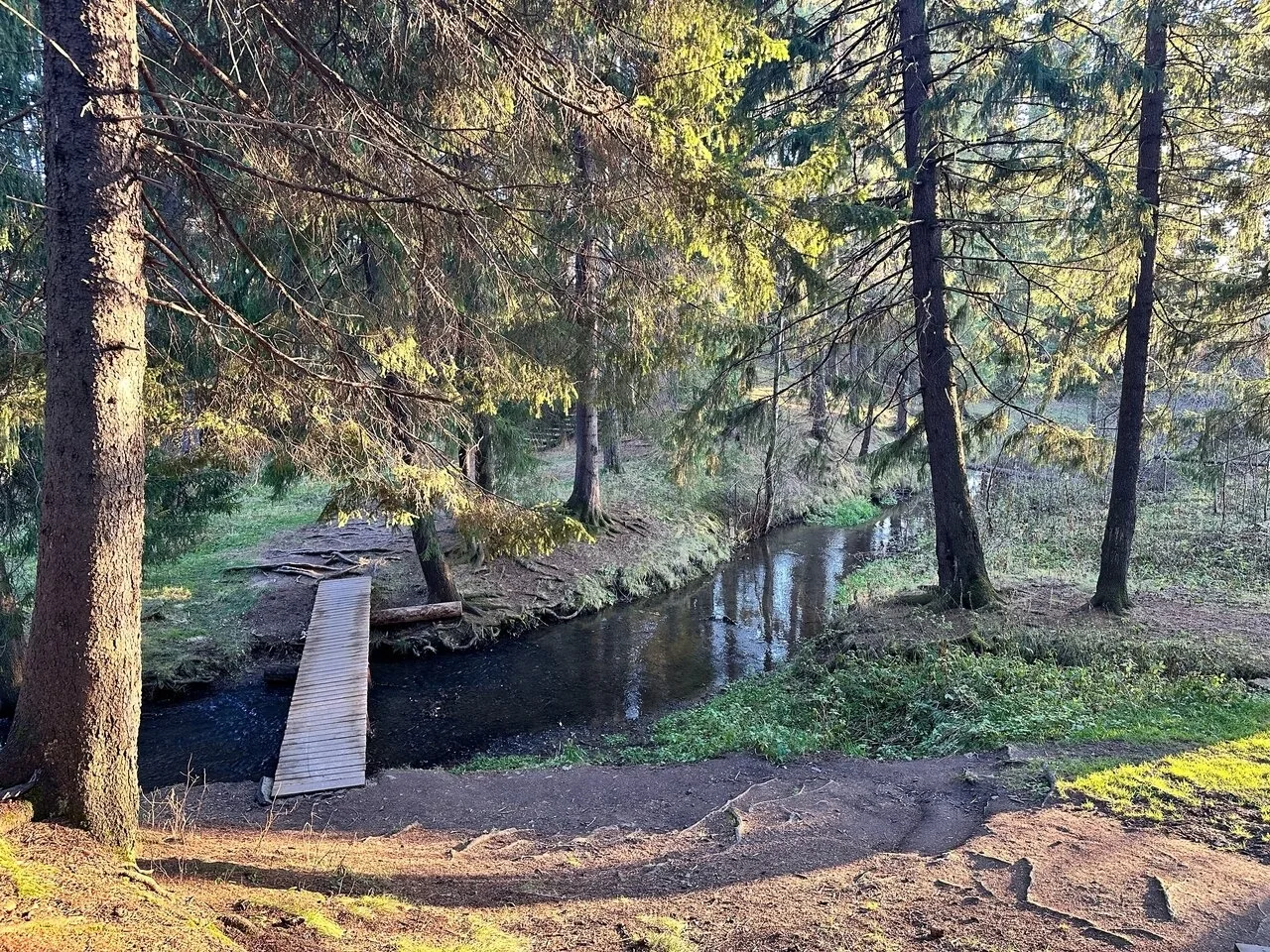 Присылайте Ваши фото в "Предложить пост"
