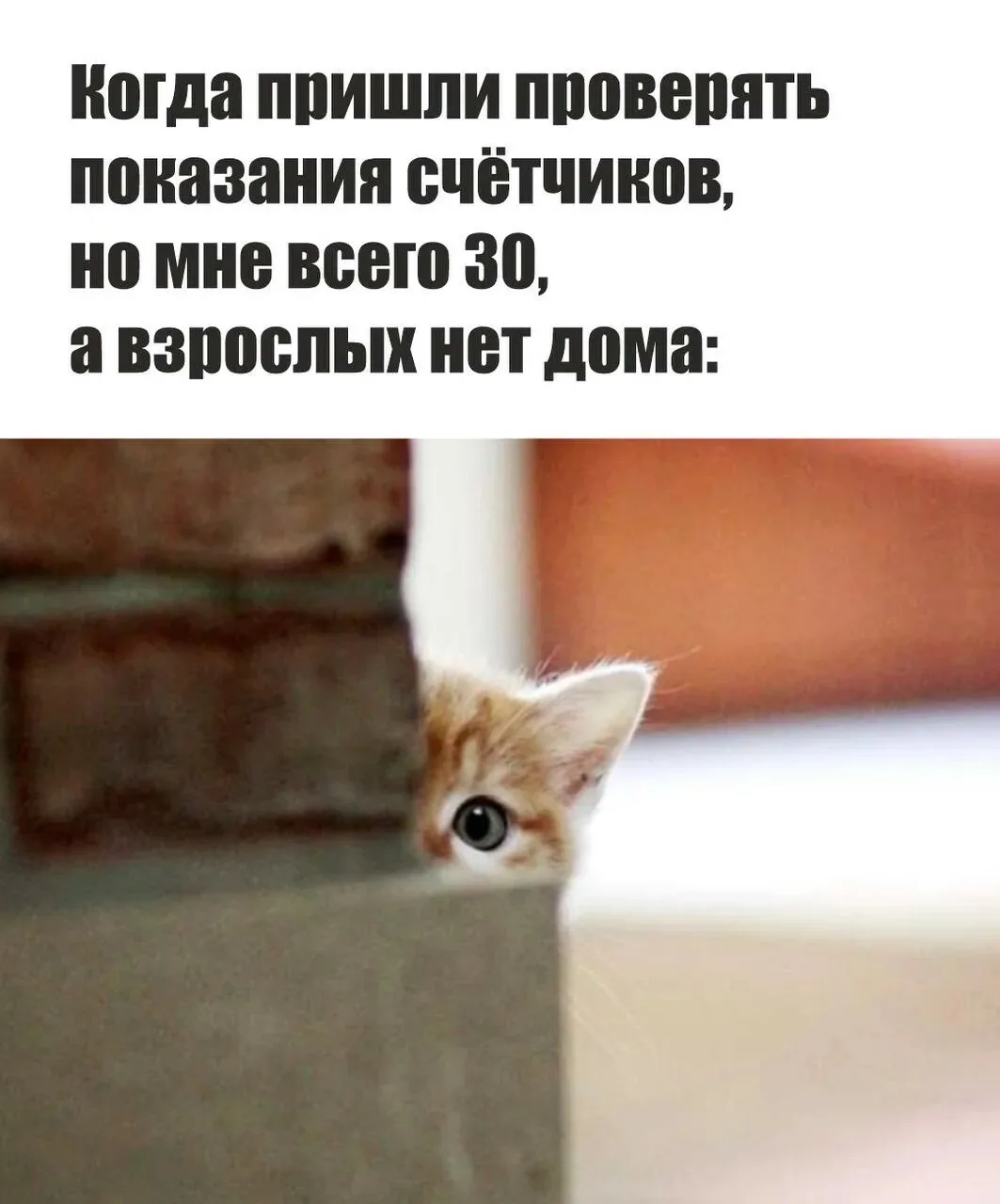 ❗Админ канала: поймал стойкое дежавю.